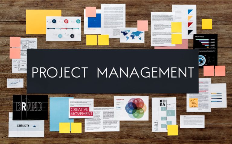 Project Management Fundamentals for Professionals
